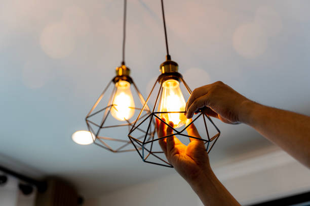 Best 24-Hour Electrician  in Spring Grove, IL
