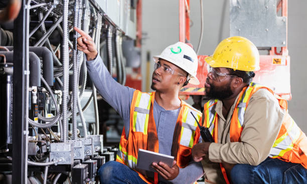 Best Generator Installation Services  in Spring Grove, IL