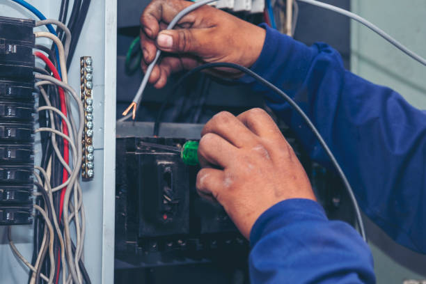 Best Home Electrical Repair  in Spring Grove, IL