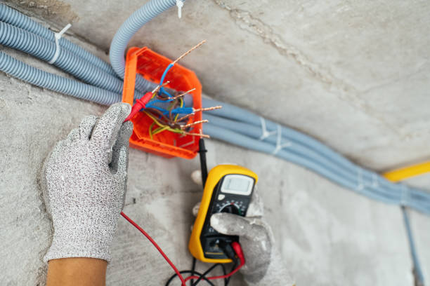 Best Residential Electrician Services  in Spring Grove, IL